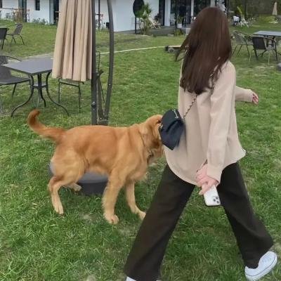 无罪的辩护