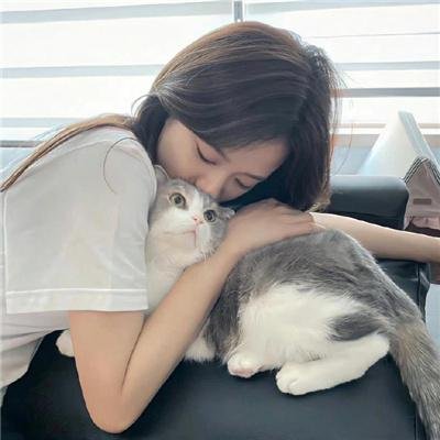 暴力复仇记